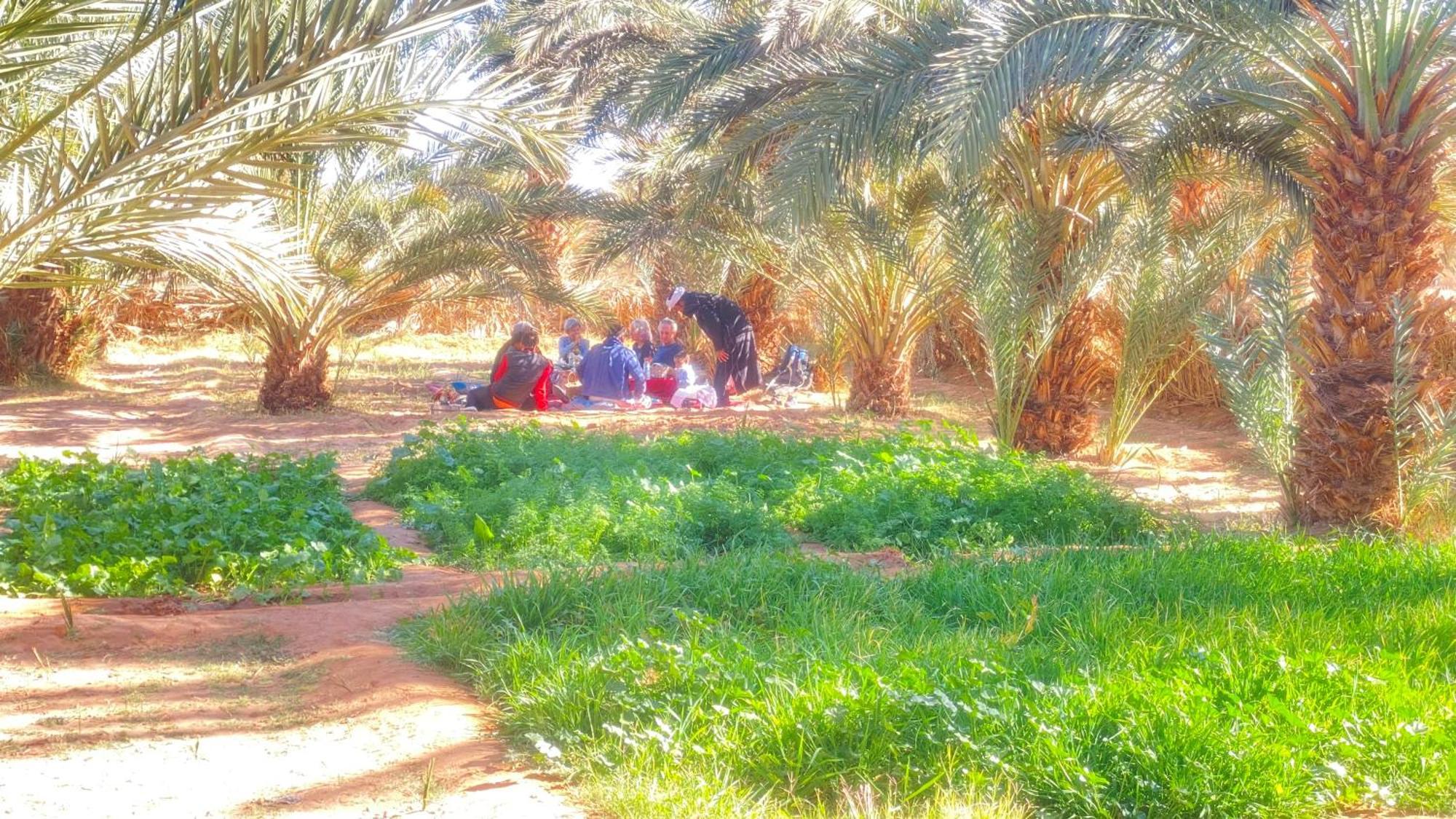 Atta Desert Camp El Gouera エクステリア 写真