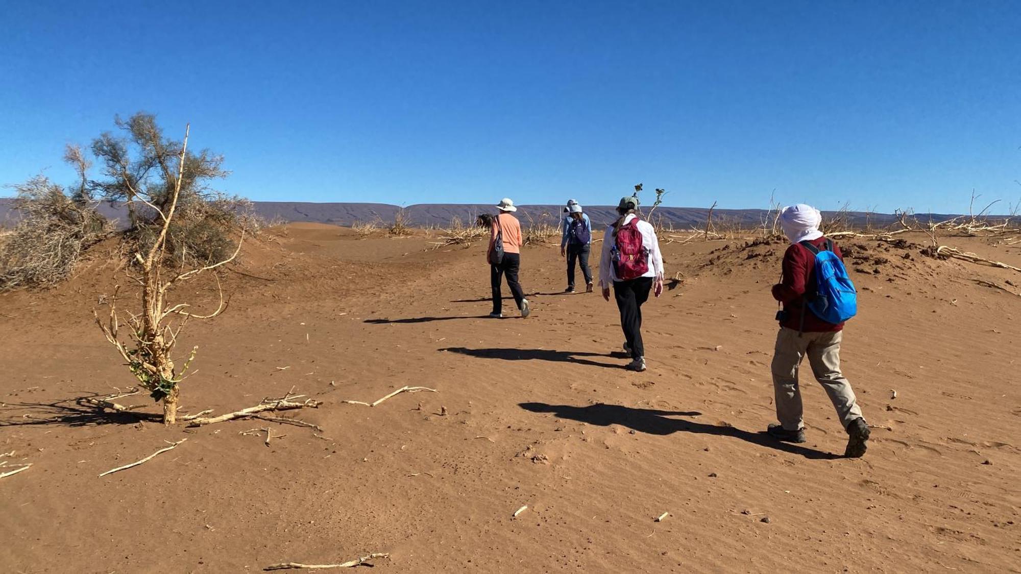 Atta Desert Camp El Gouera エクステリア 写真